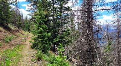 5 Historic Patented Mining Claims - Old Mining Buildings near Bonanza Colorado
