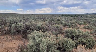 Secluded - Off the beaten path - Off Grid living 1/2 acre Taos New Mexico land