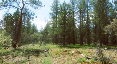 2 adjoining Lots almost 5 acres - Trees - Corner Lot - Camp RV Build