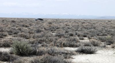 2 adjoining 80 acre parcels * Dolly Varden