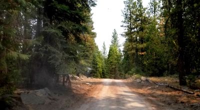 Heavily Forested property with incomplete steel pole metal roof shed/barn
