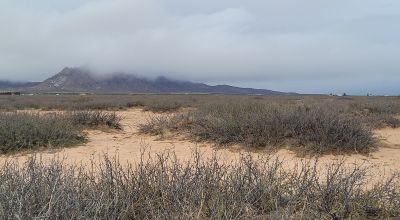 Classic Southern New Mexico Desert 10 acres