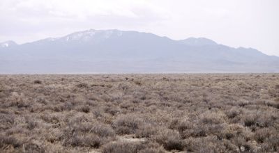 2 adjoining 80 acre parcels * Dolly Varden