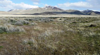 Private 43+ acres * Nevada Mini Ranch * with Massive Western Vistas