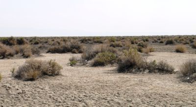 Classic Nevada Desert - Just off Hwy 95
