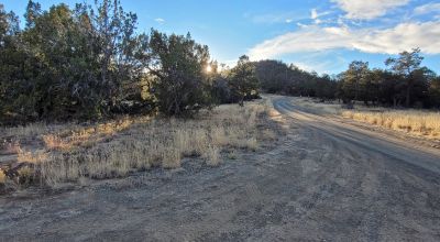 Quiet Views and Abundant Wildlife 11 Acres - NM