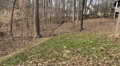 Lake Hartwell 1/2 acre Lakeside Build Lots