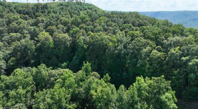 Discover Your Dream Escape in Fentress County, TN!