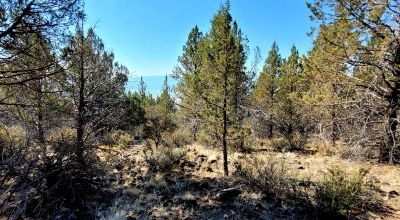 Sprague River Valley Views * Trees * Mobiles, modulars, site-builds ok