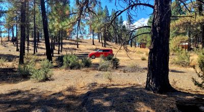 Heavily Treed - Power - Backs to Large Open Ranch