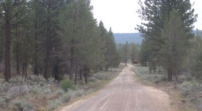 10 Treed acres Near Beatty Oregon - Owner financing available