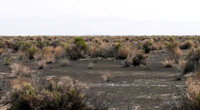 Classic Nevada Desert - Just off Hwy 95