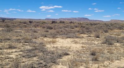 Hwy 509 Frontage - Power at road - Near Ambrosia Lake - Four 1-acre parcels available