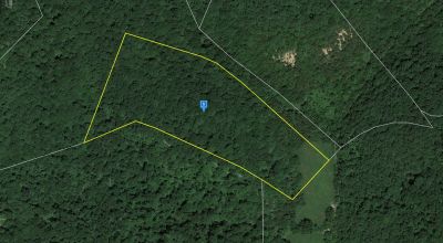 14.18 Acres For sale in Metcalfe County Kentucky!