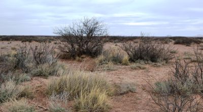 1 acre Sunny Southern New Mexico - Florida Mountain Views to the West