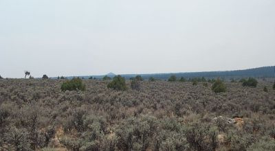 Off Grid Living in Taos County New Mexico - Corner Lot
