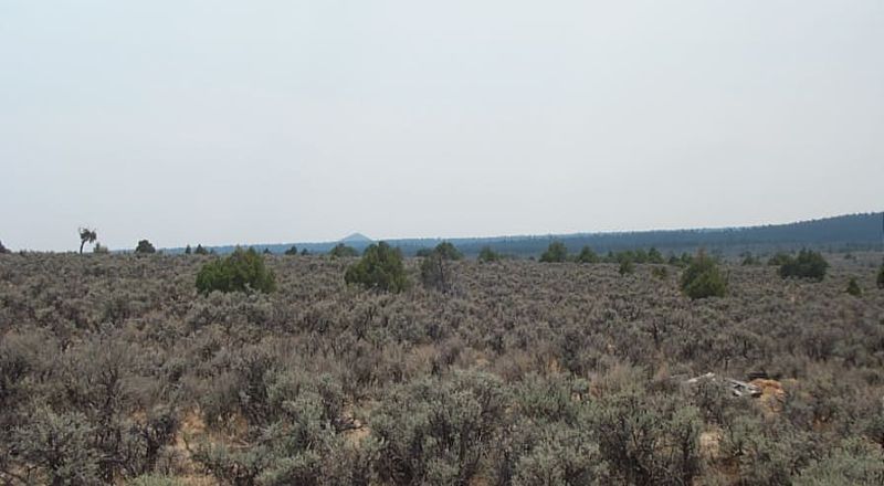 Off Grid Living in Taos County New Mexico - Corner Lot