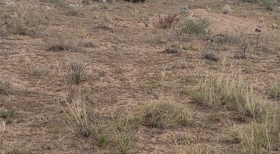 30 acre Central New Mexico Property Windmill Ranch Excellent Roads. Power at Road