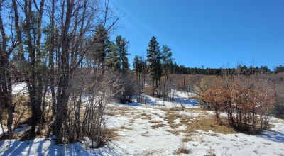 Sherwood Forest 1 acre near Torreon New Mexico - Base of the Manzano Mountains