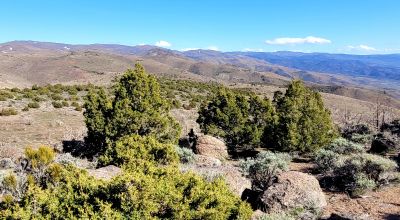 Mountain Land South of Pyramid Lake - Rock Outcroppings - Views Overlooking Palomino Valley