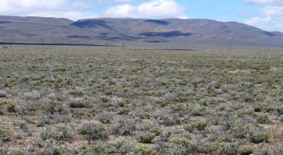 Large Parcel at end of Subdivision - Crescent Valley Nevada land - BLM lands next door