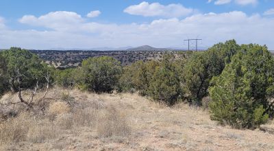 Surrounded by Santa Fe National Forest - Near Las Campanas and Golf Course - 8 Miles from Santa Fe