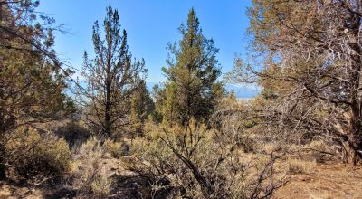 Sprague River Valley Views * Trees * Mobiles, modulars, site-builds ok