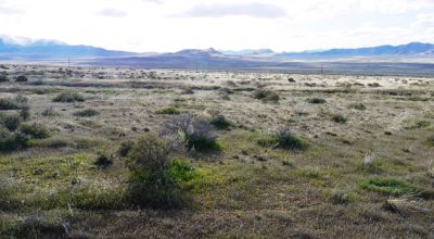 Private 43+ acres * Nevada Mini Ranch * with Massive Western Vistas