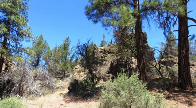 Southerly facing with Unique Rock Formations and trees