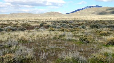 Private 43+ acres * Nevada Mini Ranch * with Massive Western Vistas