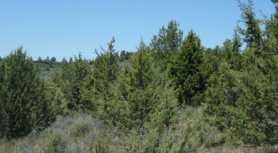 Sprague River Valley Views * Site builds, Mobiles, Modulars allowed