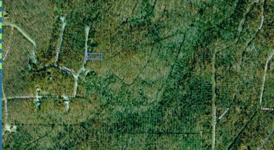 Trees * Utilities at road *  Lot in Cherokee Village