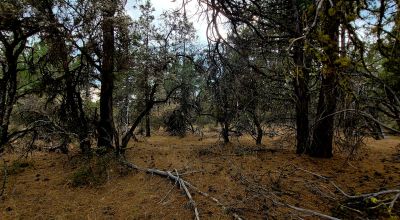 Level Building Lot Oregon - Camp - RV - Build