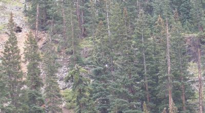 Historic Alpine Loop Southern Colorado - Animas River