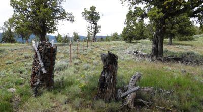 20 acres Oregon Forested Mountain land  near Lakeview & Drews Gap Summit