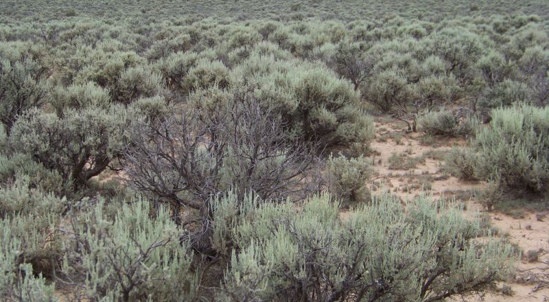 Mesa Hills on Black Mesa near BLM lands and wide open spaces