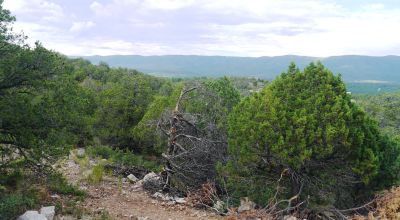 Privacy on dead-end road - Timberon New Mexico on hill Easterly facing