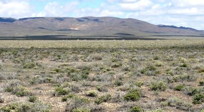 Outskirts of Crescent Valley - Power at road - Residential Parcel - Mobiles OK
