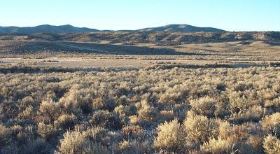 40 acre Mini ranch in the Hills West of Montello