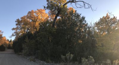 1 Acre Buildable lot in the gated Zapata Subdivision