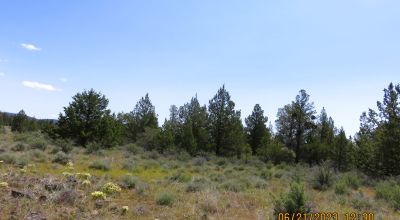 5 acres off the Beaten path - Star filled night skies- Small knoll with trees