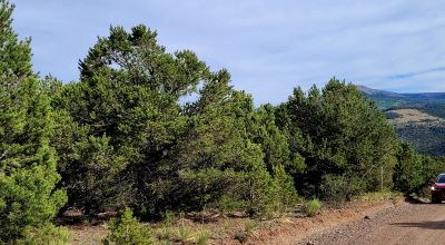 South Fork Colorado - Alpine Village Residential Lot