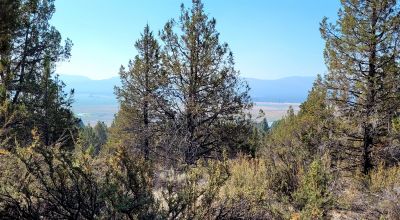 Sprague River Valley Views * Trees * Mobiles, modulars, site-builds ok