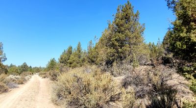 Sprague River Valley Views * Trees * Mobiles, modulars, site-builds ok