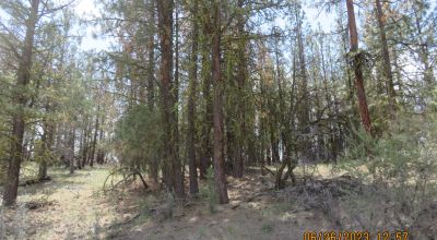 2 adjoining Lots almost 5 acres - Trees - Corner Lot - Camp RV Build