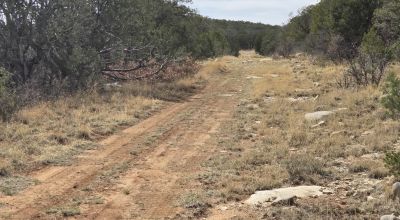1 acre Remote and Quiet off the beaten path - Timberon New Mexico