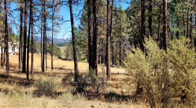 Heavily Treed - Power - Backs to Large Open Ranch