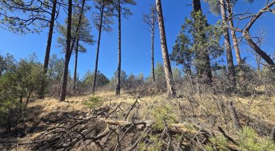 .5 Acres Water on Road, Power Nearby, Timberon NM