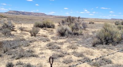 Scenic New Mexico Desert 25 miles N-NW of Grants - 1 acre parcels - Camp RV Build
