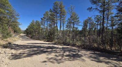 Residential Lot. Developing Area Timberon New Mexico